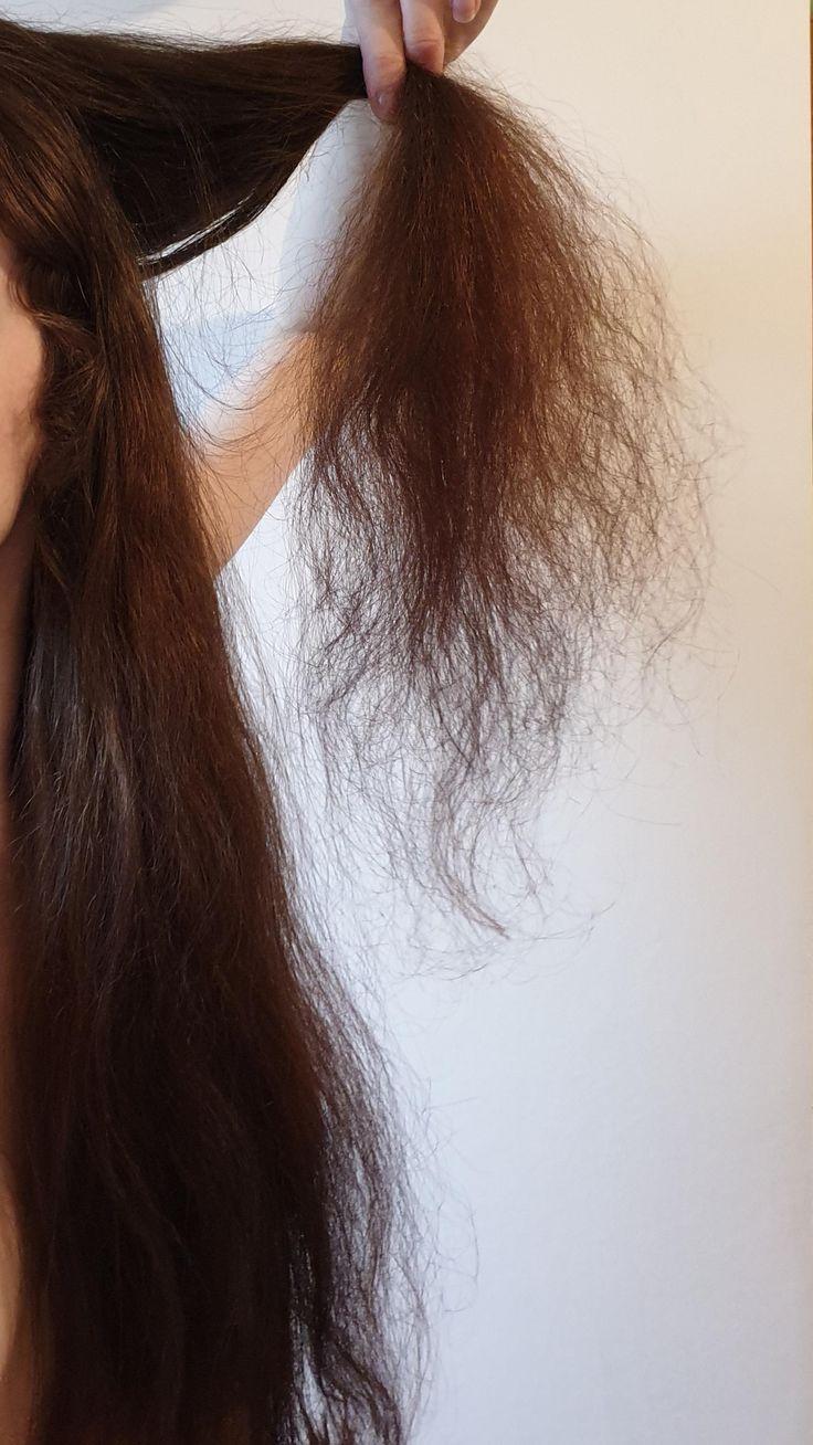 Cheveux Secs & Abîmés